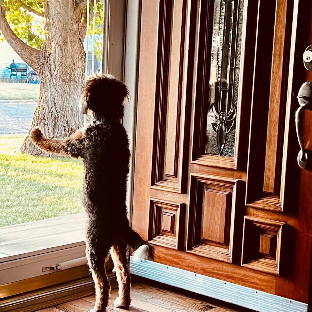 Meet your Posher, Lee